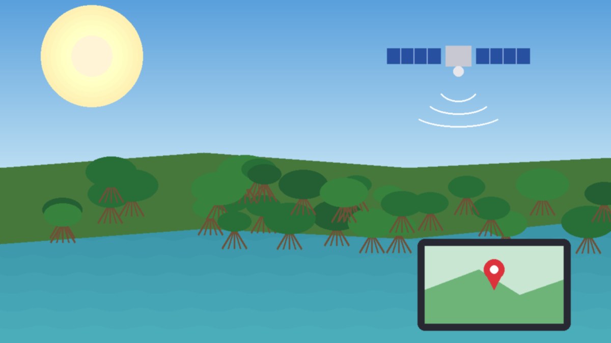 Illustration of a green mangrove forest along a calm coastline with a satellite orbiting above and a tablet showing a map pin